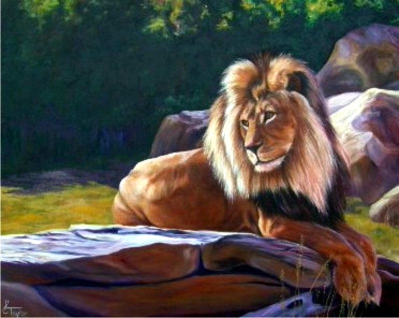 Lion portrait by Cyndi Taylor